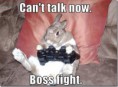 /album/fotogalerie/funny-pictures-rabbit-plays-video-games6-jpg/